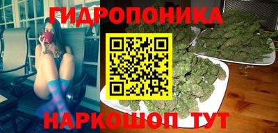 ALPHA-PVP Новозыбков
